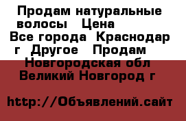 Продам натуральные волосы › Цена ­ 3 000 - Все города, Краснодар г. Другое » Продам   . Новгородская обл.,Великий Новгород г.